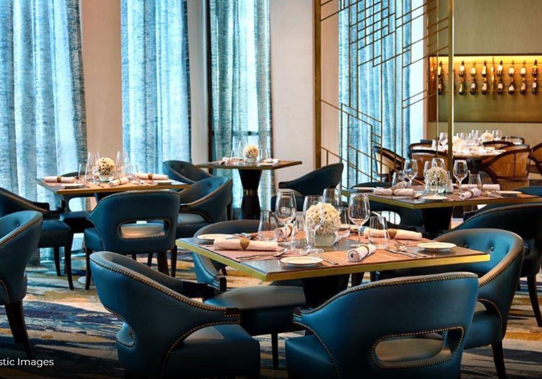 Tulip Monsella you tube