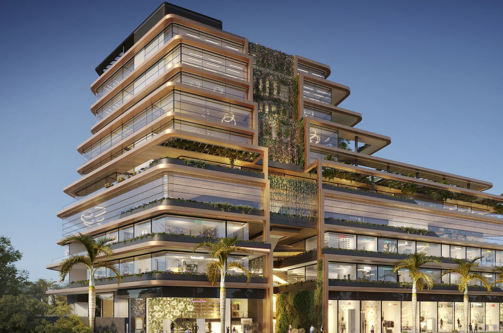 Tulip Monsella for sale