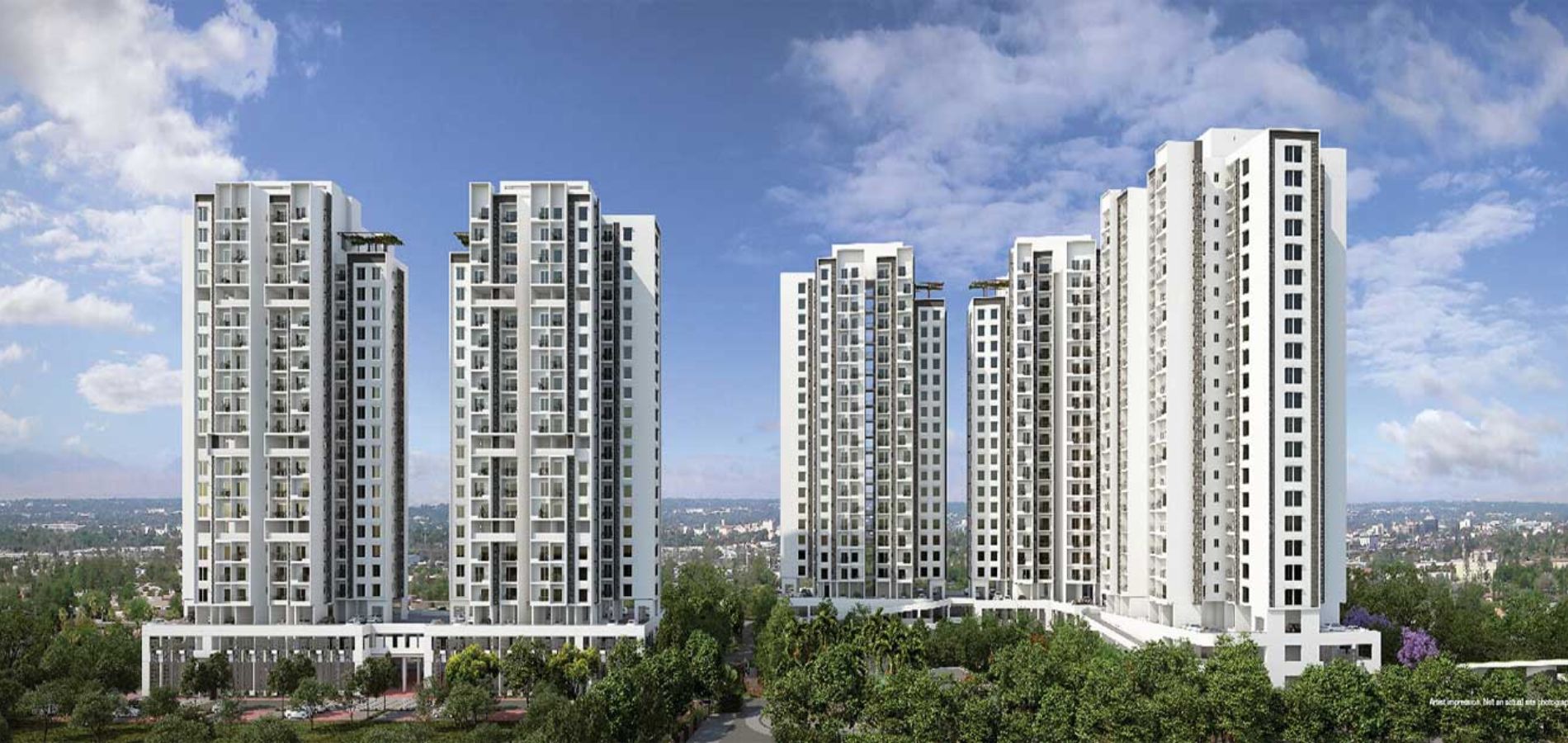 Tulip Monsella pictures