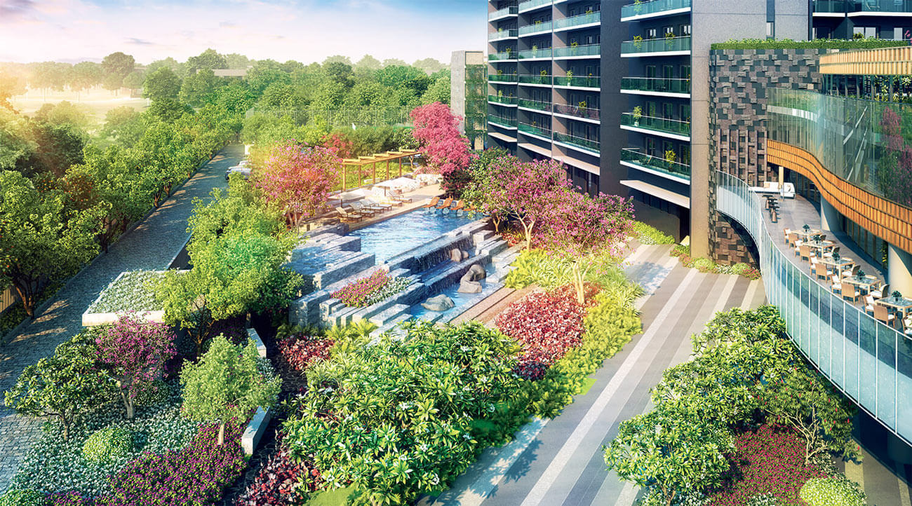 caitriona ambience reviews