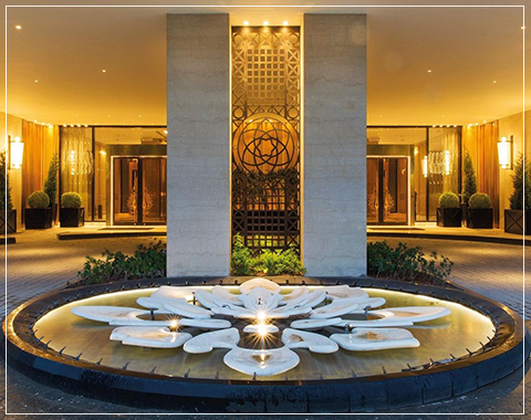 DLF Camellias you tube