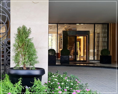 DLF Camellias gurgaon price