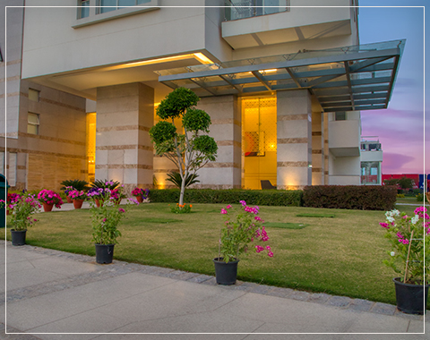 pioneer araya master plan