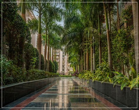 the hibiscus triplex penthouse