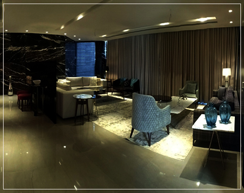 ss the hibiscus features