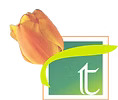 Tulip Monsella